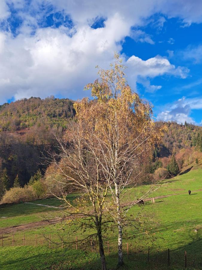 Greenriver Apartment Spodnje Gorje Экстерьер фото