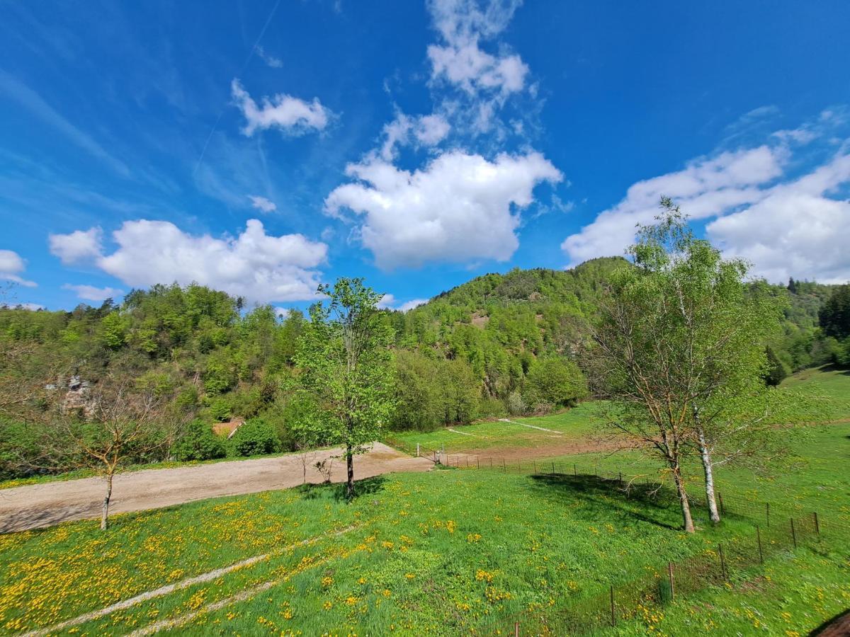Greenriver Apartment Spodnje Gorje Экстерьер фото